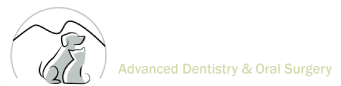 Advanced Veterinary Dentistry