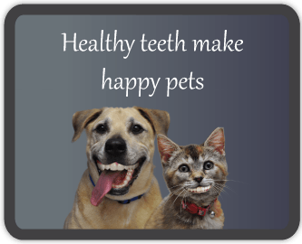 Professional Dental Cleanings for Dogs and Cats