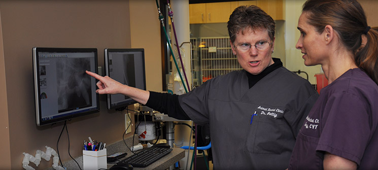 Digital Dental Radiology Services at Animal Dental Clinic 