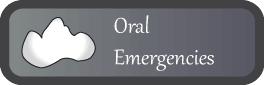 Veterinary Oral Emergency
